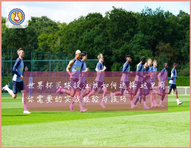 世界杯买球投注该如何选择 这里有你需要的实战经验与技巧