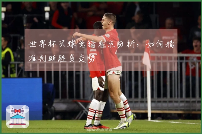 世界杯买球竞猜看点分析，如何精准判断胜负走势