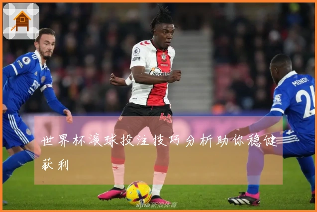 世界杯滚球投注技巧分析助你稳健获利